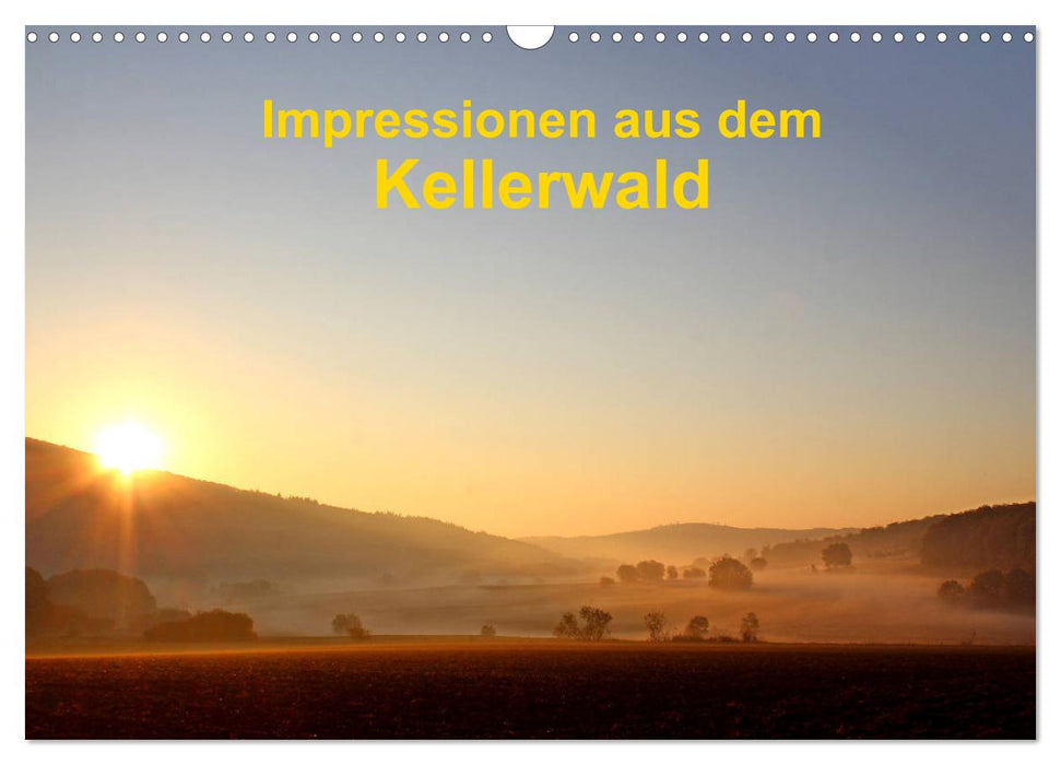 Impressions from the Kellerwald (CALVENDO wall calendar 2024) 