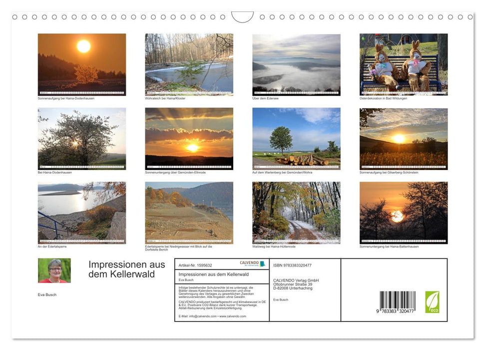 Impressionen aus dem Kellerwald (CALVENDO Wandkalender 2024)