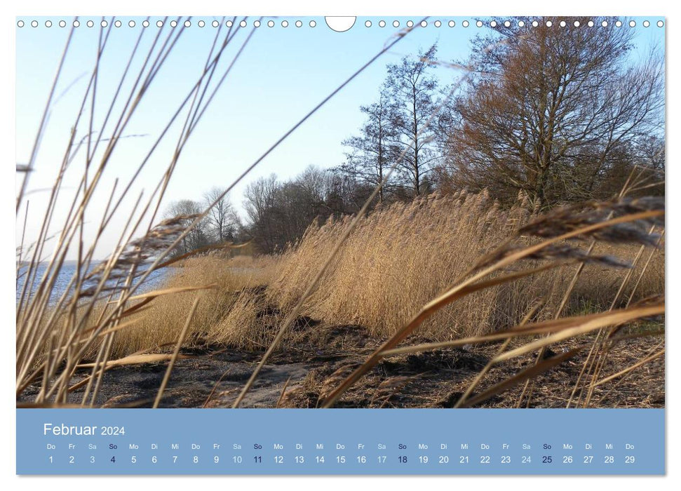 Schleizeit (CALVENDO wall calendar 2024) 