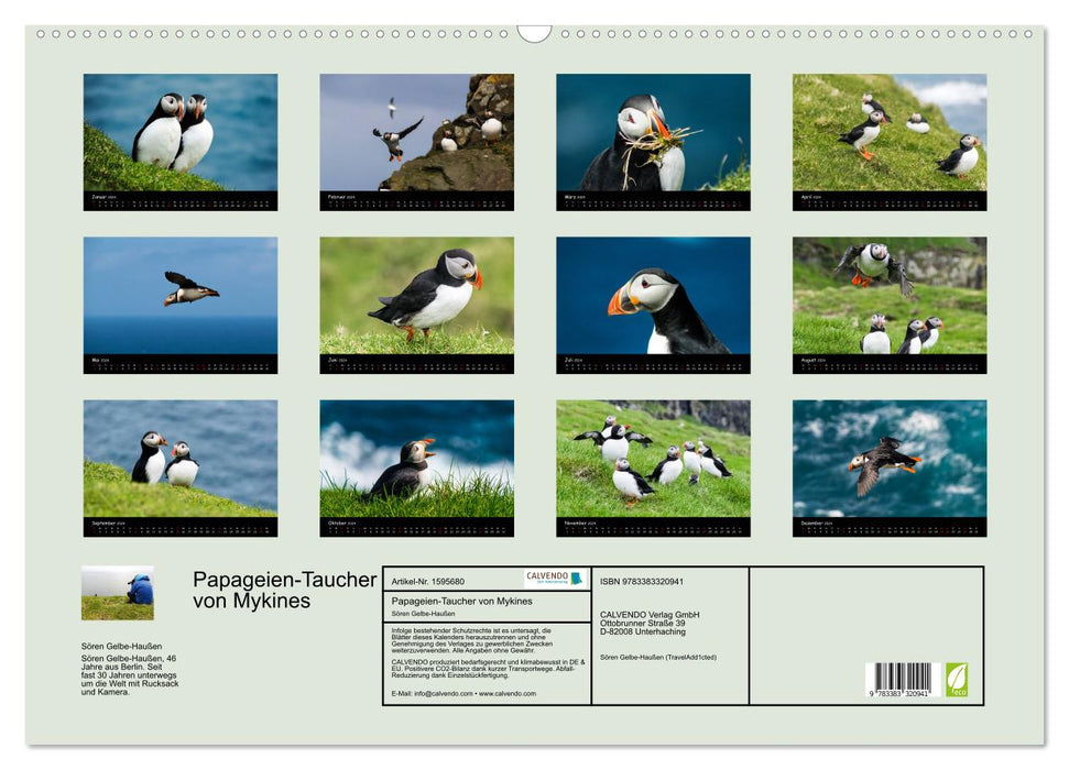 Die Papageientaucher von Mykines (CALVENDO Wandkalender 2024)