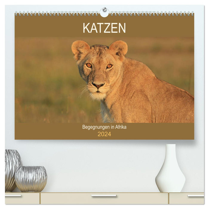 Cats - Encounters in Africa (CALVENDO Premium Wall Calendar 2024) 