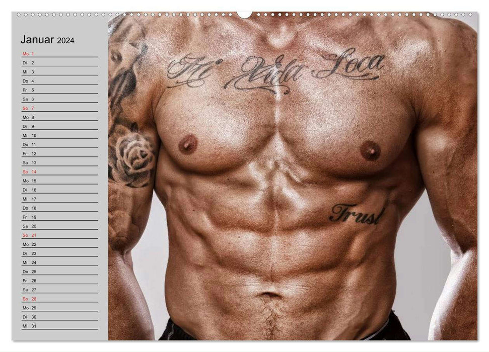 Erotische Männer. Adonis und Co. (CALVENDO Premium Wandkalender 2024)