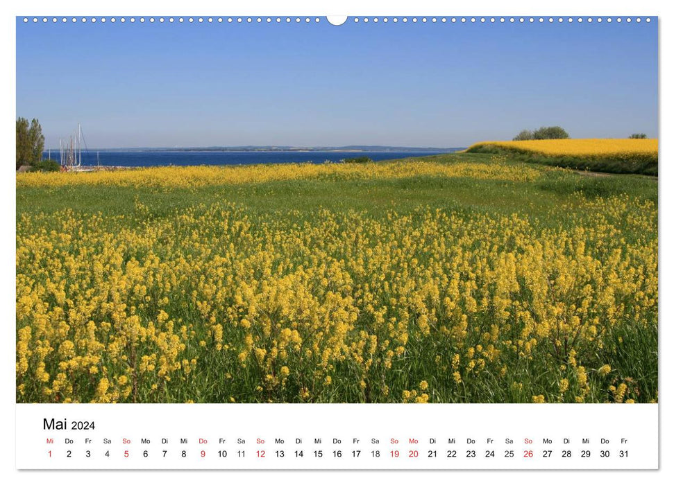 Island Ærø - Pearl of the Danish South Seas (CALVENDO Premium Wall Calendar 2024) 