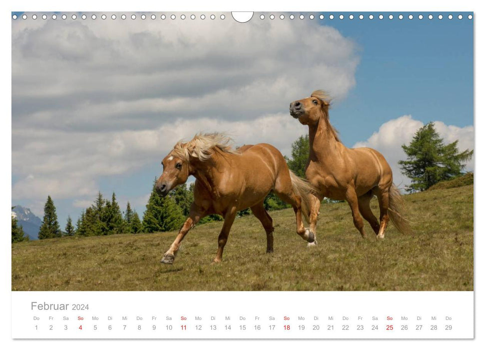 Pferde - In natürlicher Umgebung (CALVENDO Wandkalender 2024)