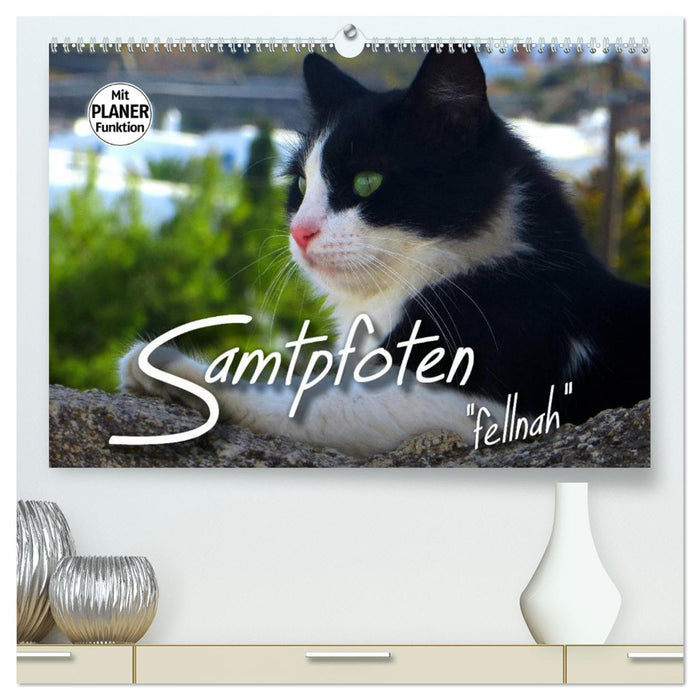 SAMTPFOTEN "fellnah" (CALVENDO Premium Wandkalender 2024)