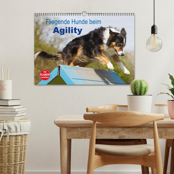 Flying dogs at agility (CALVENDO wall calendar 2024) 