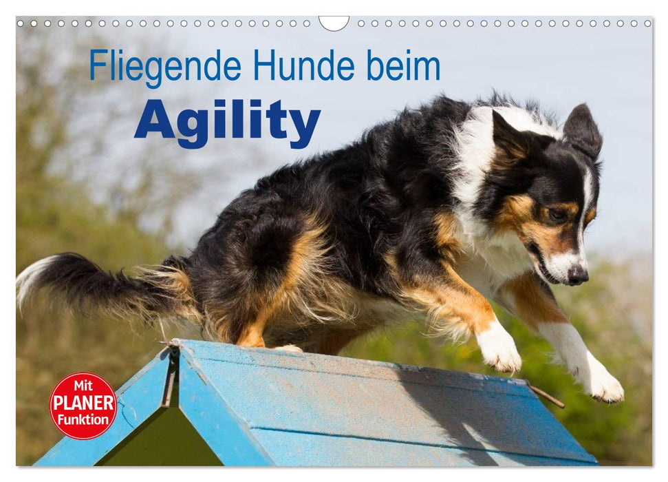 Flying dogs at agility (CALVENDO wall calendar 2024) 