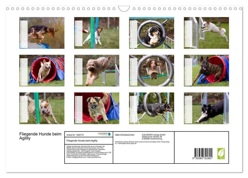 Flying dogs at agility (CALVENDO wall calendar 2024) 