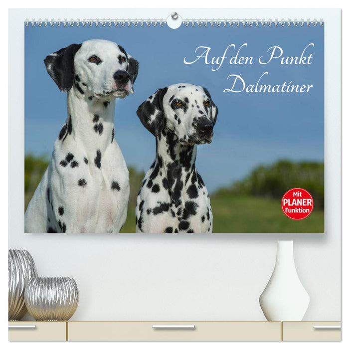 Au point - Dalmatiens (Calendrier mural CALVENDO Premium 2024) 