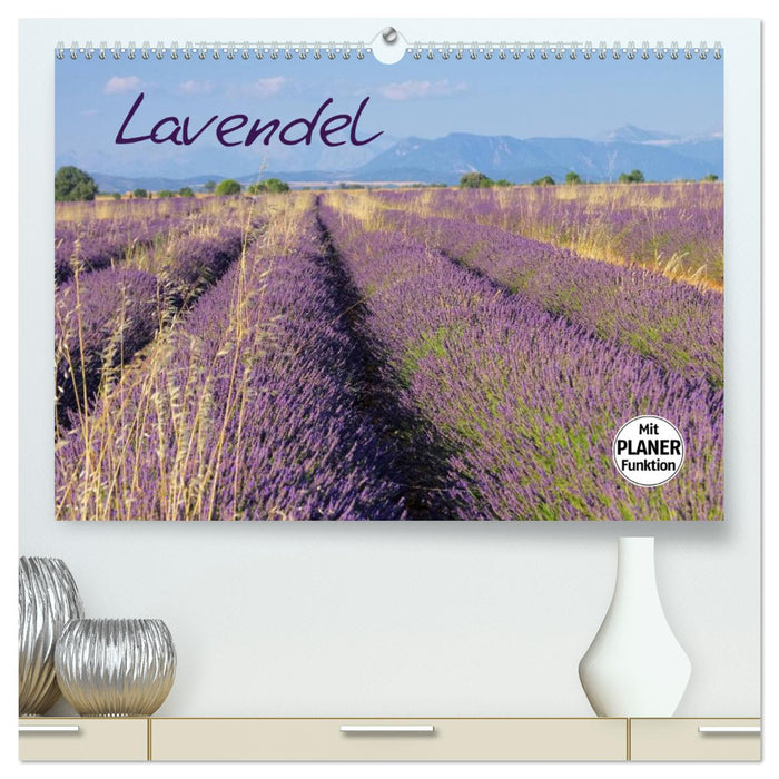 Lavendel (CALVENDO Premium Wandkalender 2024)