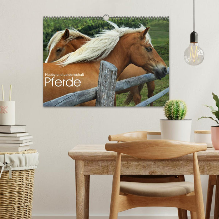 Horses - hobby and passion (CALVENDO wall calendar 2024) 