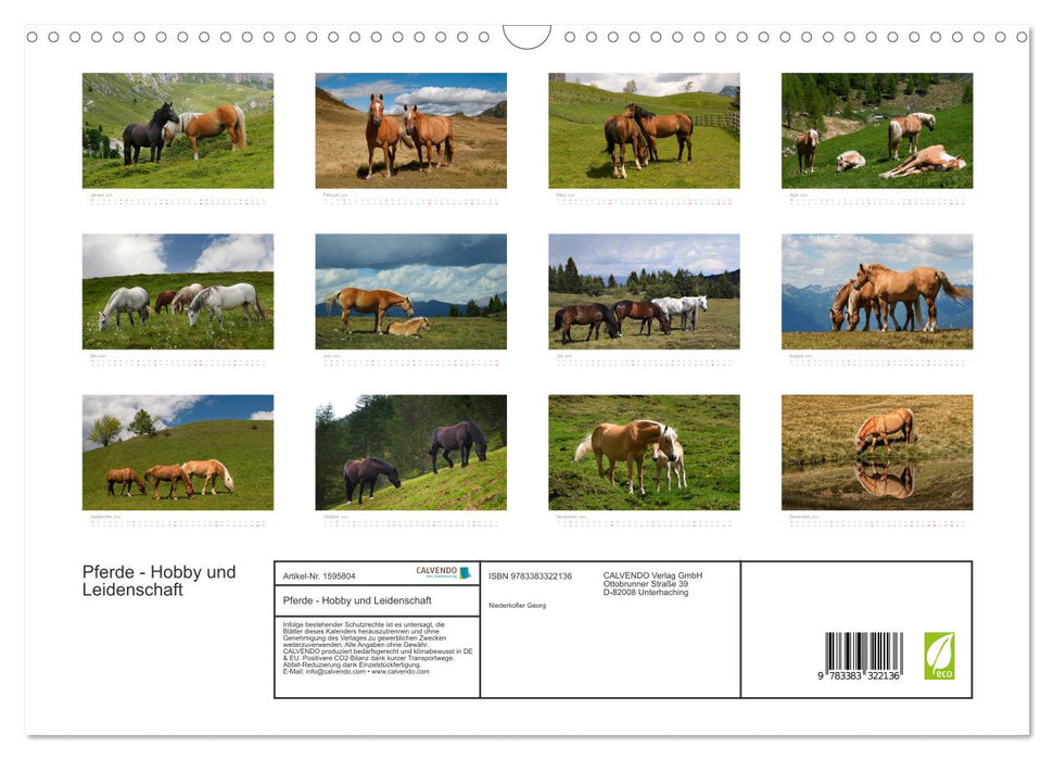 Horses - hobby and passion (CALVENDO wall calendar 2024) 