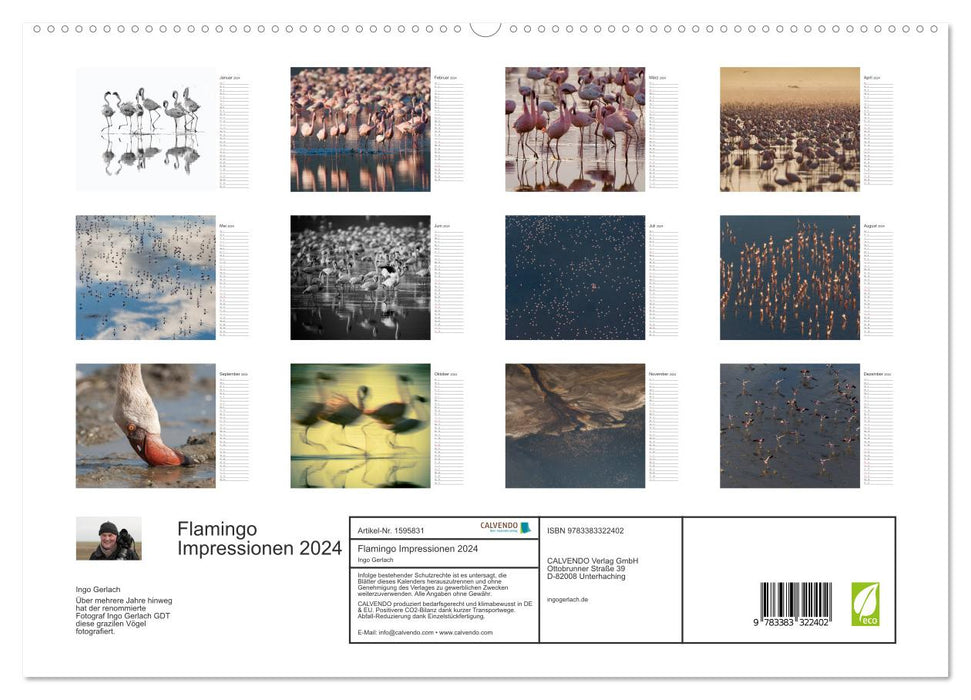 Flamingo Impressions 2024 (CALVENDO Premium Wall Calendar 2024) 