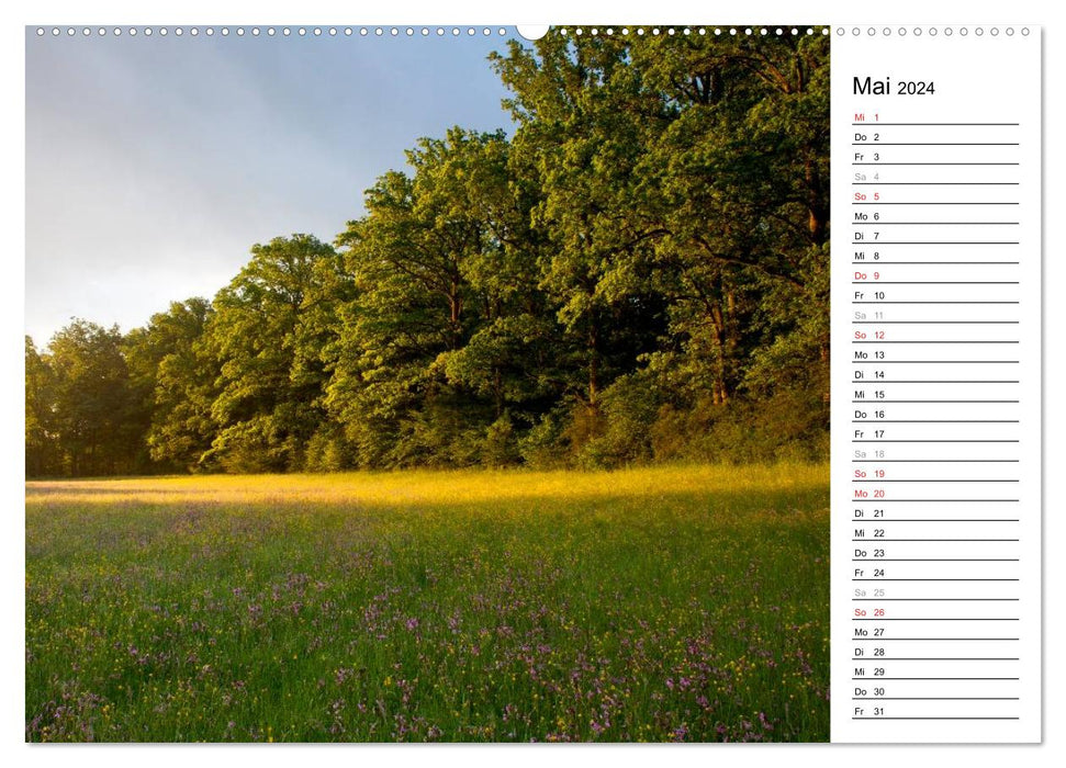 DER STEIGERWALD - Impressionen einer Landschaft (CALVENDO Premium Wandkalender 2024)
