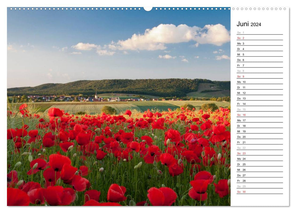 DER STEIGERWALD - Impressionen einer Landschaft (CALVENDO Premium Wandkalender 2024)