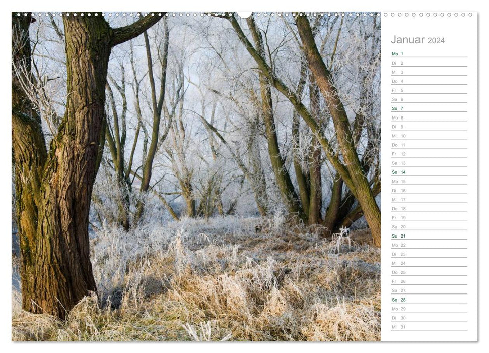Dans la forêt allemande 2024 - un calendrier de notes (CALVENDO Premium Wall Calendar 2024) 