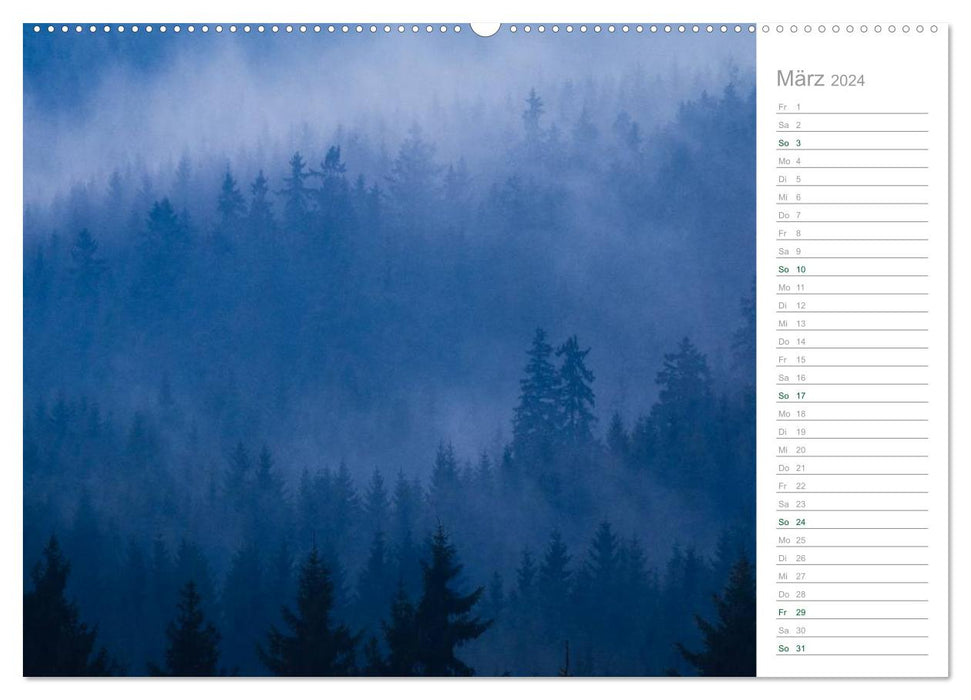 Im Deutschen Wald 2024 - ein Notizkalender (CALVENDO Premium Wandkalender 2024)