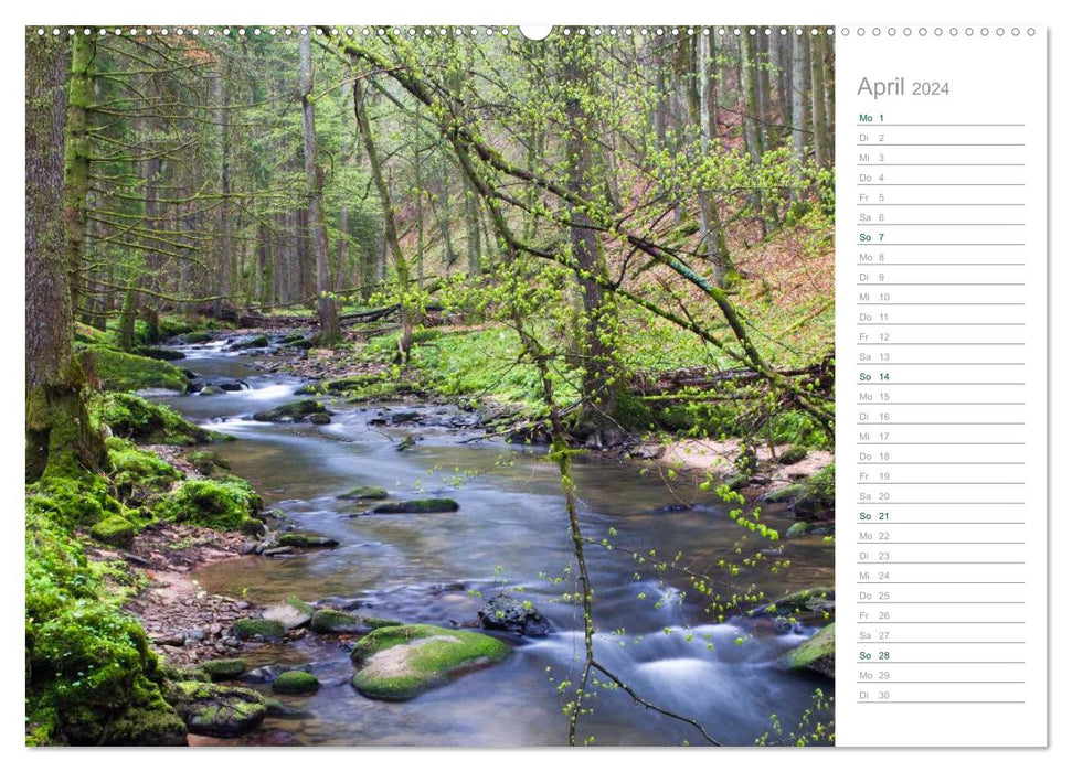 Dans la forêt allemande 2024 - un calendrier de notes (CALVENDO Premium Wall Calendar 2024) 
