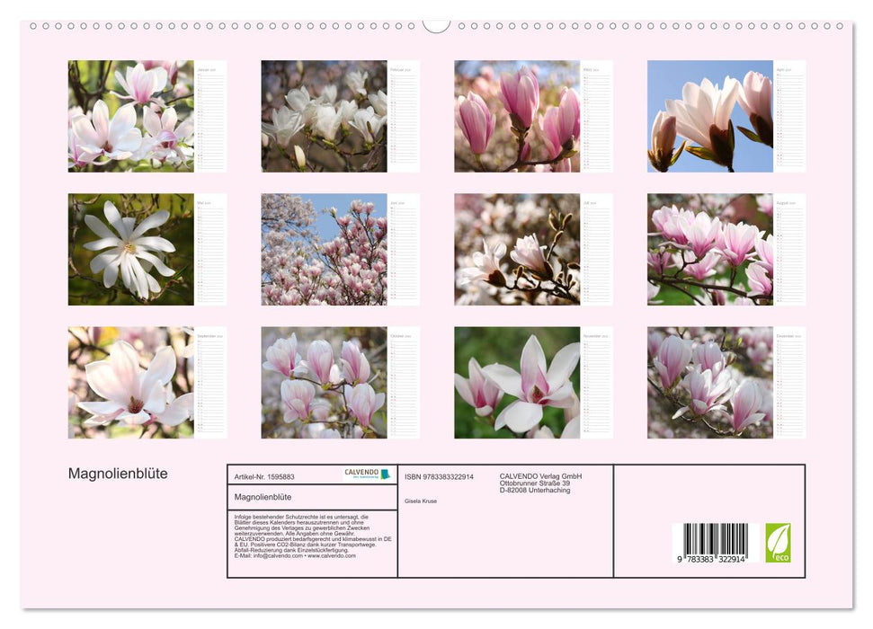 Magnolia blossom (CALVENDO Premium wall calendar 2024) 