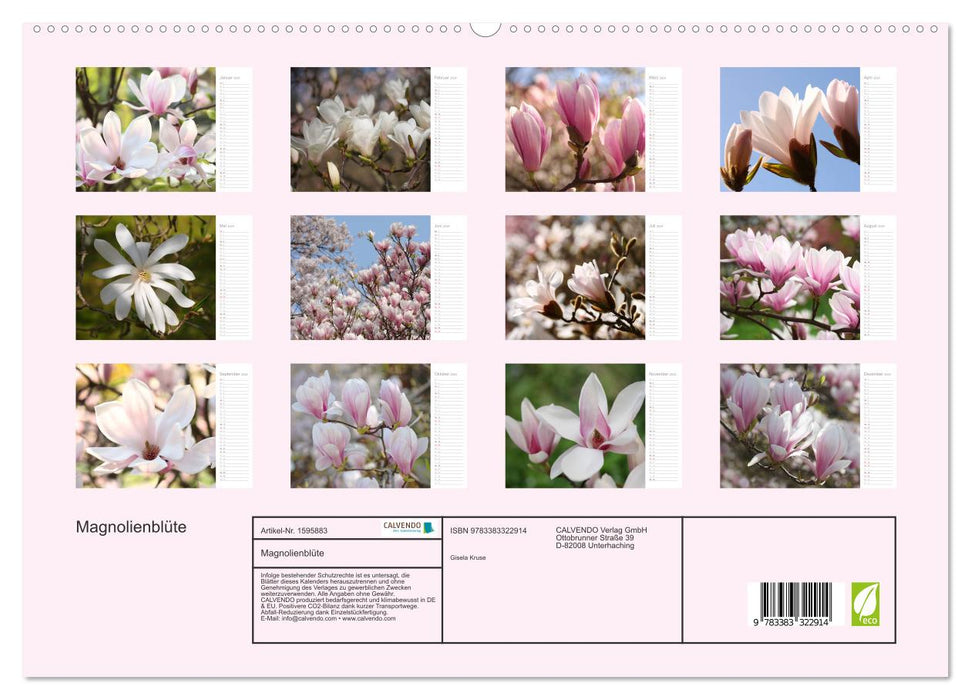 Magnolienblüte (CALVENDO Premium Wandkalender 2024)