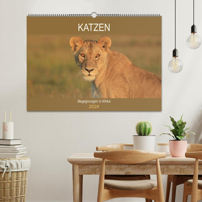 Cats - Encounters in Africa (CALVENDO wall calendar 2024) 