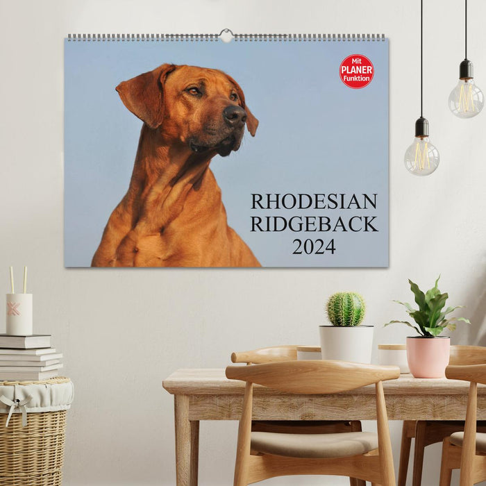 Rhodesian Ridgeback 2024 (Calendrier mural CALVENDO 2024) 