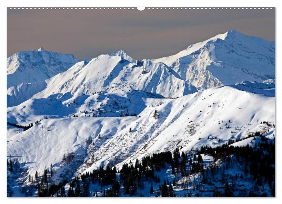 Meine Giganten in den Alpen Österreichs (CALVENDO Premium Wandkalender 2024)