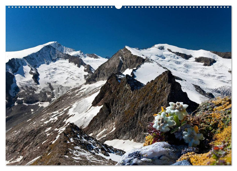 Mes géants dans les Alpes autrichiennes (Calendrier mural CALVENDO Premium 2024) 