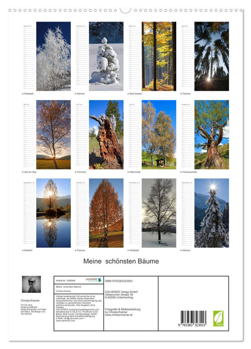 My most beautiful trees (CALVENDO Premium Wall Calendar 2024) 