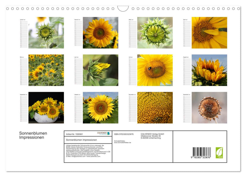 Sonnenblumen Impressionen (CALVENDO Wandkalender 2024)