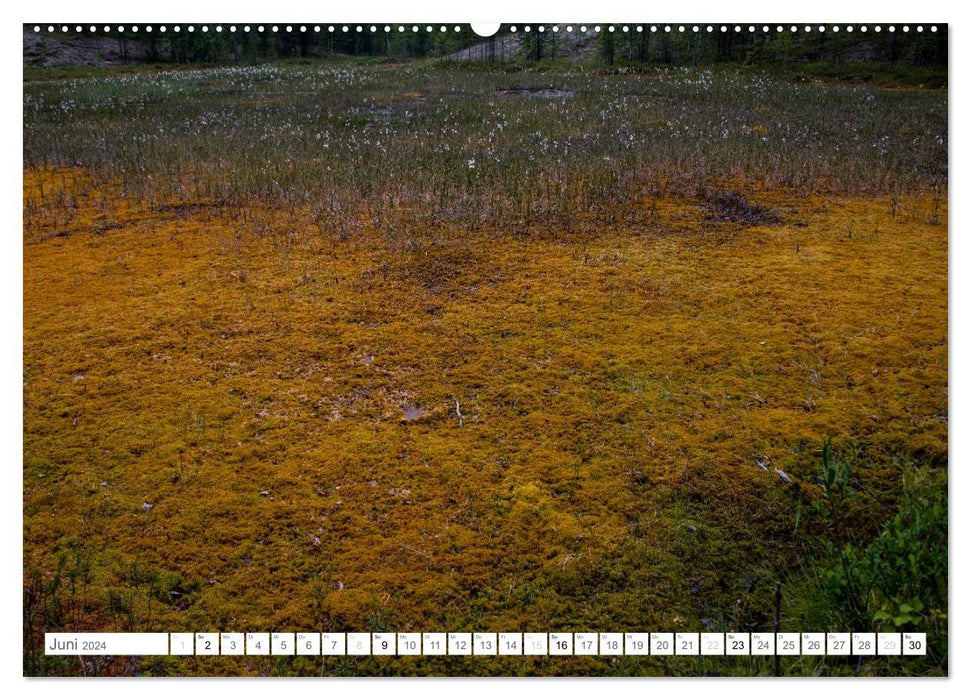 Nordschweden (CALVENDO Wandkalender 2024)