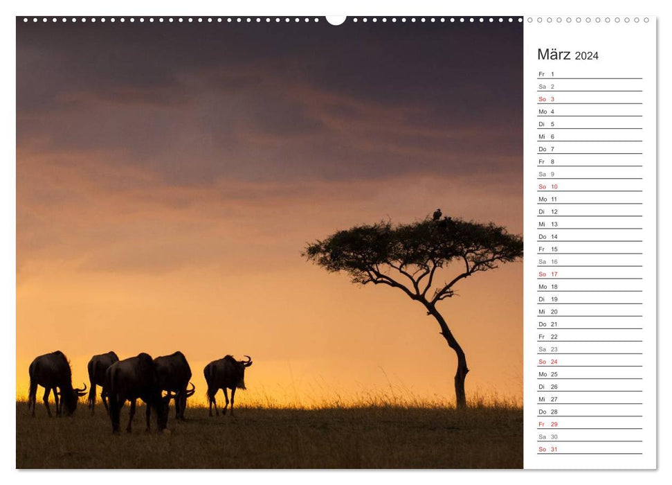 Emotionale Momente: Afrika Wildlife. Part 3. (CALVENDO Premium Wandkalender 2024)