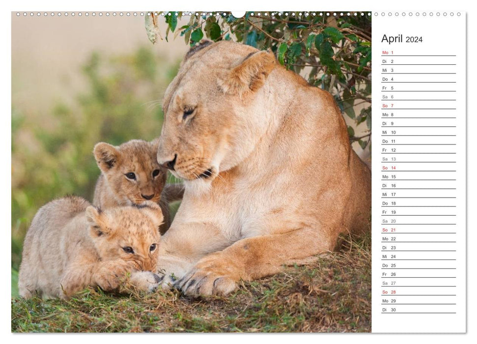 Emotionale Momente: Afrika Wildlife. Part 3. (CALVENDO Premium Wandkalender 2024)