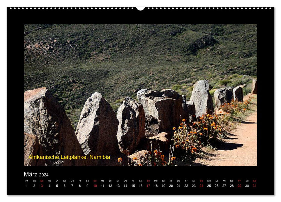 AFRICA in the South (CALVENDO Premium Wall Calendar 2024) 