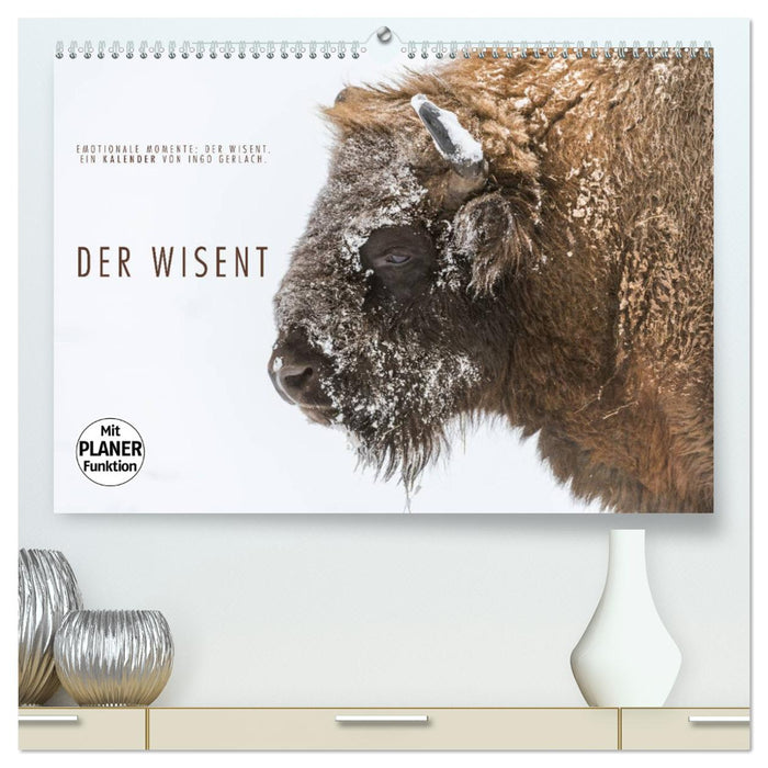 Emotionale Momente: Der Wisent. (CALVENDO Premium Wandkalender 2024)