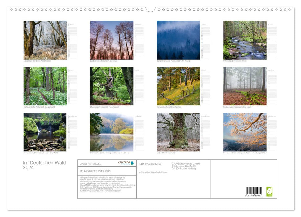 Im Deutschen Wald 2024 - ein Notizkalender (CALVENDO Wandkalender 2024)