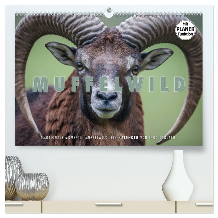 Moments d'émotion : mouflon. (Calendrier mural CALVENDO Premium 2024) 