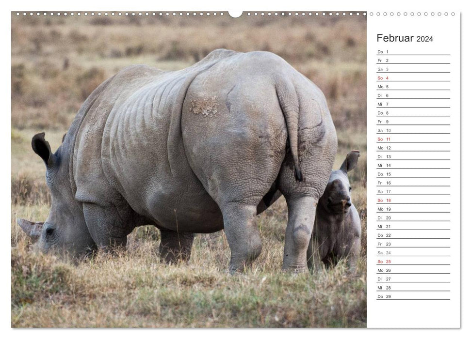 Moments d'émotion : Rhinocéros (Calendrier mural CALVENDO Premium 2024) 