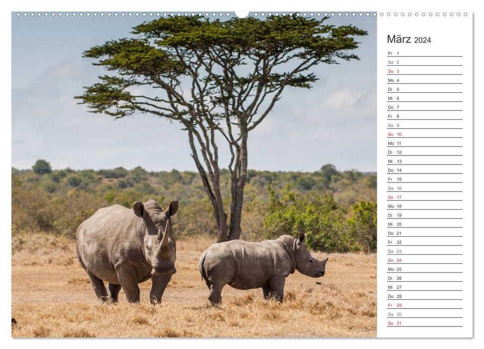 Moments d'émotion : Rhinocéros (Calendrier mural CALVENDO Premium 2024) 