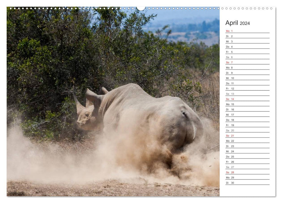 Moments d'émotion : Rhinocéros (Calendrier mural CALVENDO Premium 2024) 