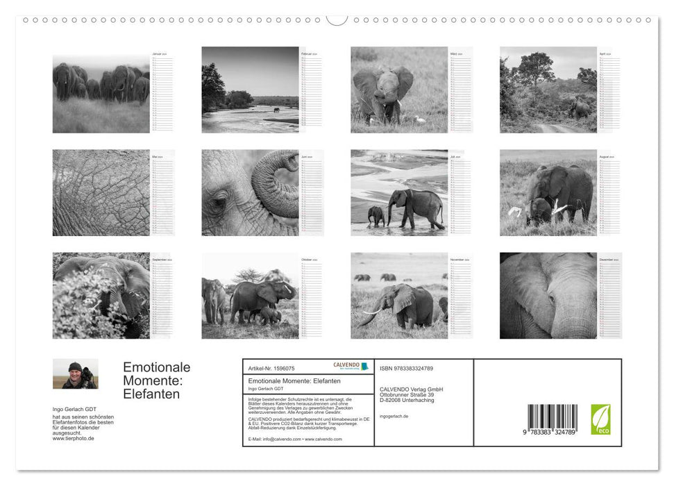 Emotionale Momente: Elefanten in black and white (CALVENDO Premium Wandkalender 2024)