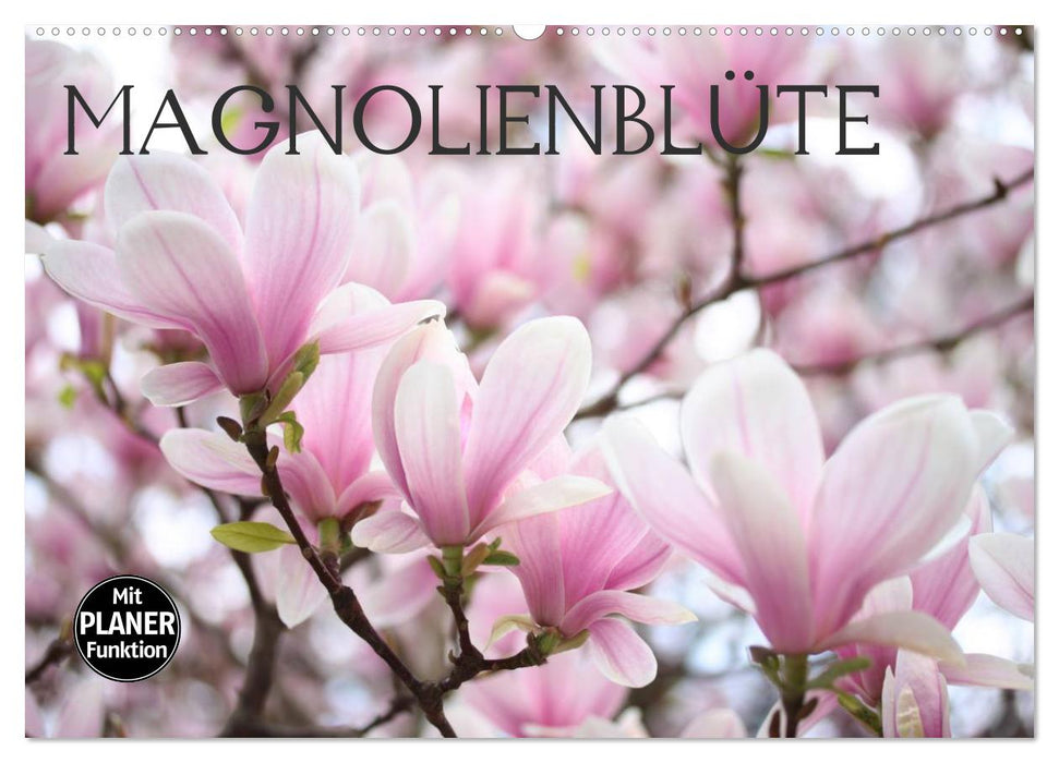 Magnolienblüte (CALVENDO Wandkalender 2024)