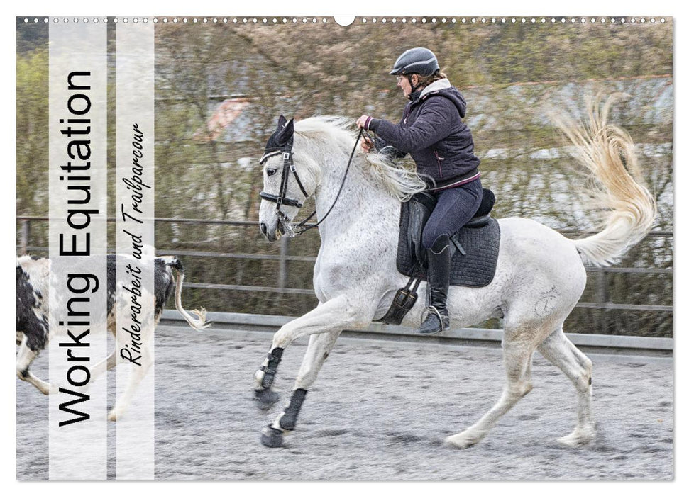 Equitation de Travail (Calendrier mural CALVENDO 2024) 