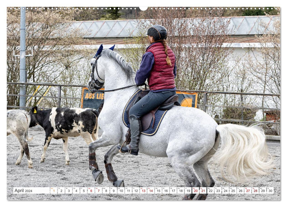 Equitation de Travail (Calendrier mural CALVENDO 2024) 