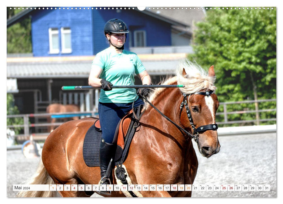 Equitation de Travail (Calendrier mural CALVENDO 2024) 