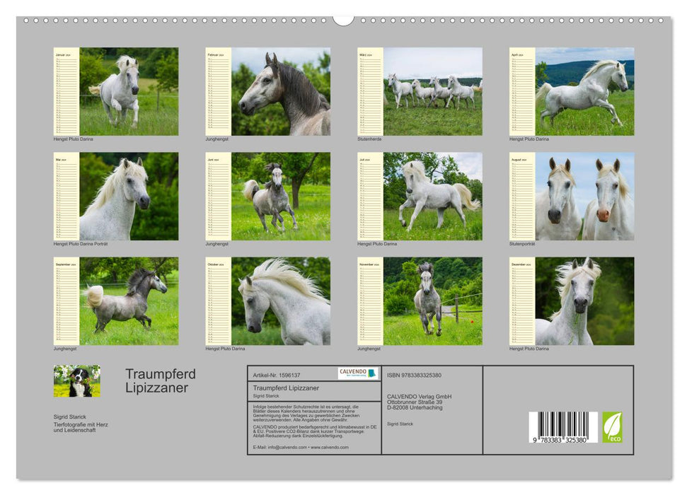 Cheval de rêve Lipizzan (Calvendo Premium Wall Calendar 2024) 