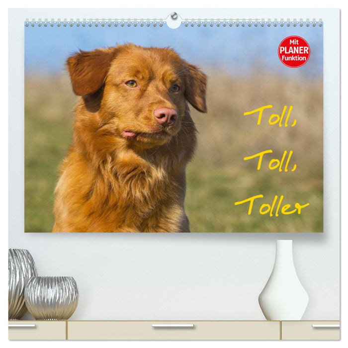 Toll, toll, Toller (CALVENDO Premium Wandkalender 2024)