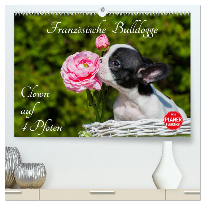 French Bulldog - Clown on 4 Paws (CALVENDO Premium Wall Calendar 2024) 