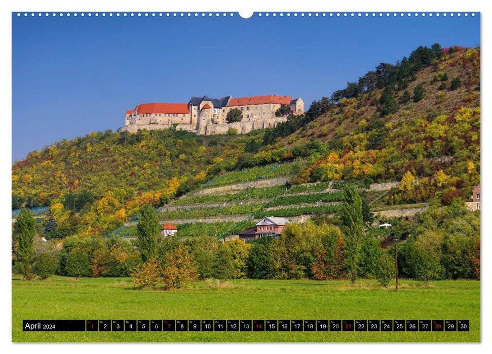 Saale-Unstrut - region of wine and stone (CALVENDO wall calendar 2024) 