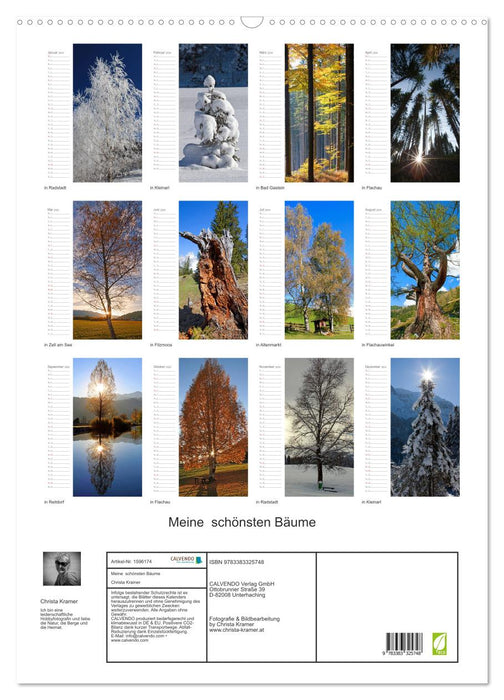 My most beautiful trees (CALVENDO wall calendar 2024) 